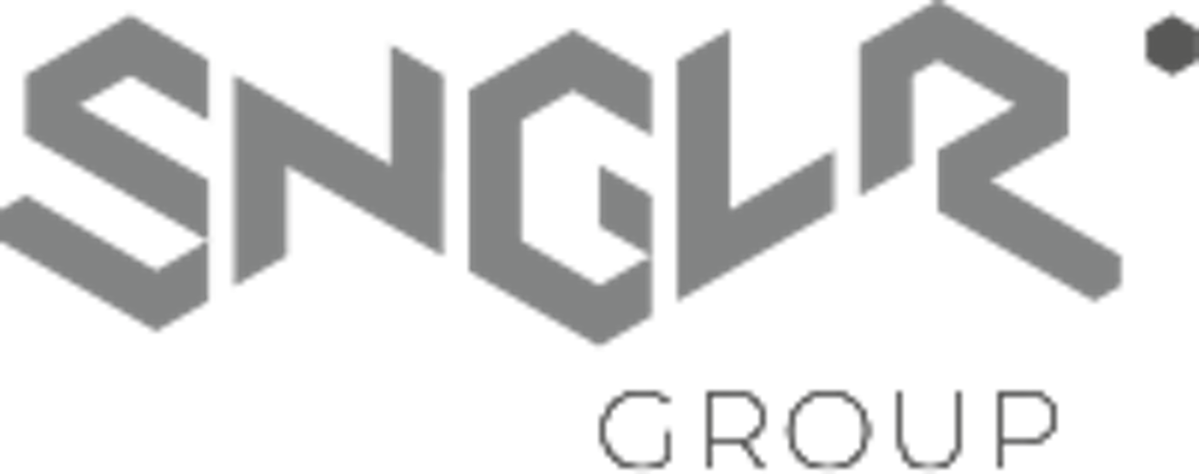 SNLRG Group Logo